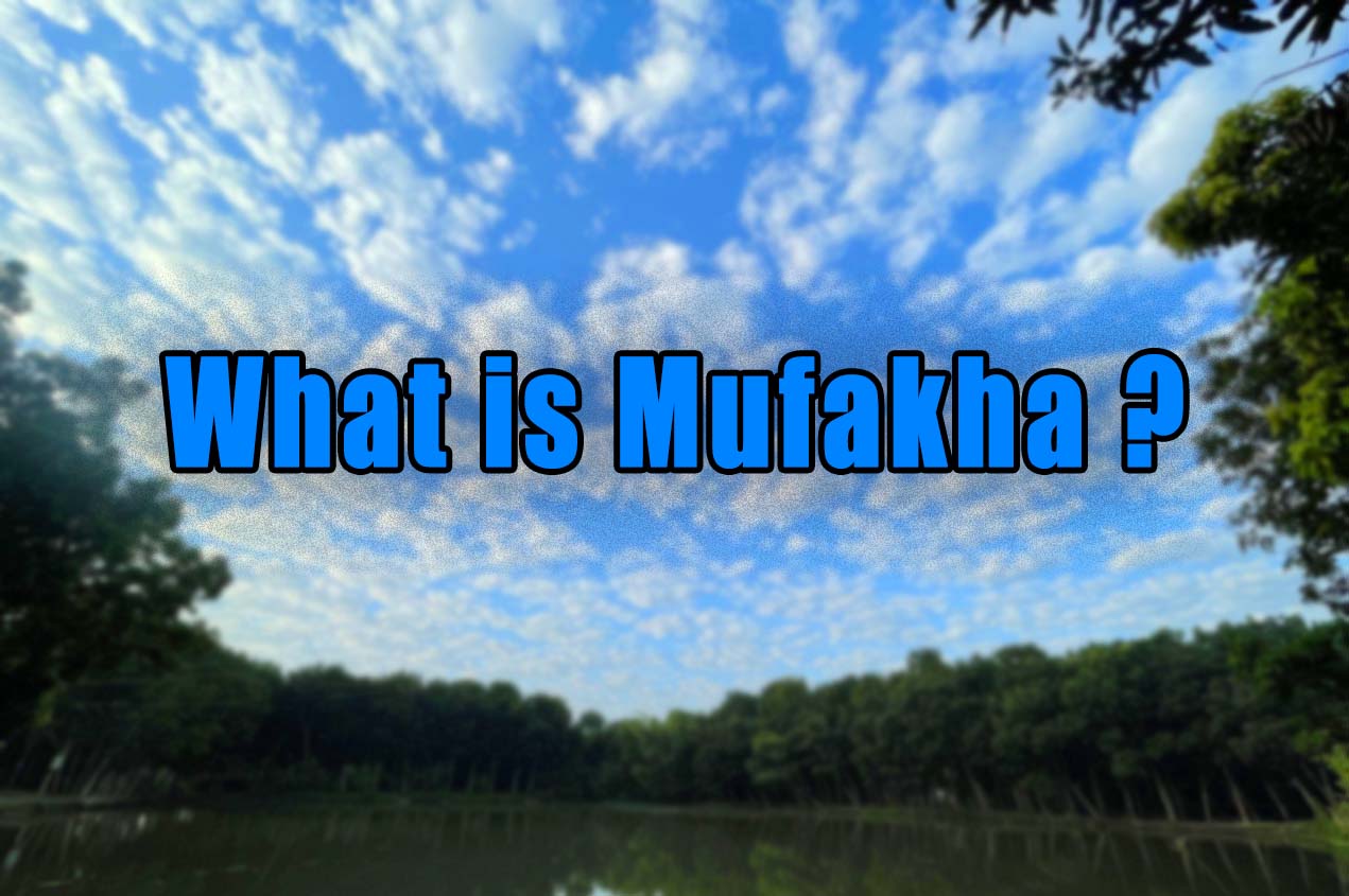 What is Mufakha মুফাখা মানে কি